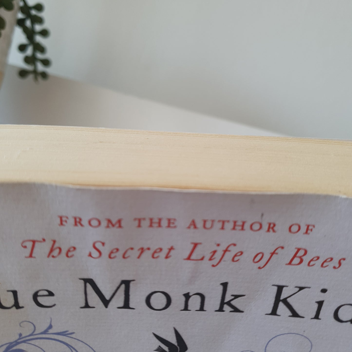 The Invention of Wings by Sue Monk Kidd