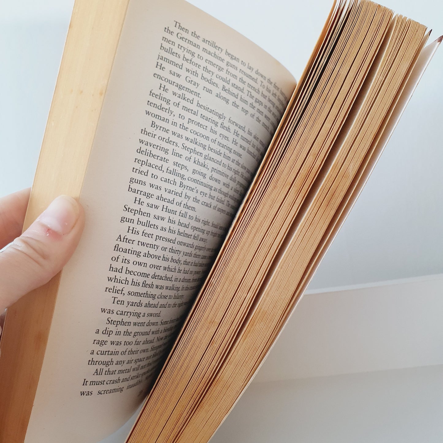 Birdsong by Sebastian Faulks - Adult Reads