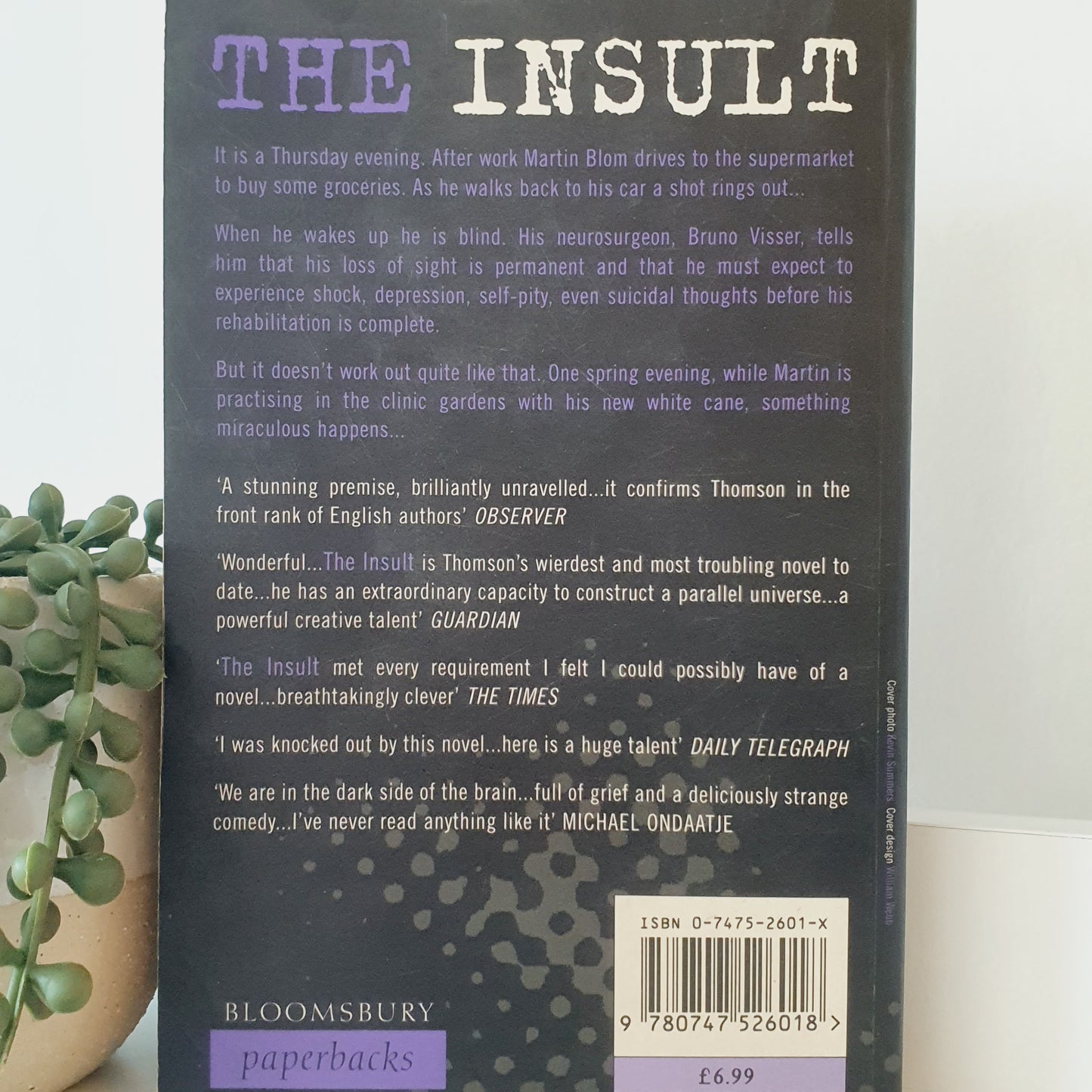 The Insult by Rupert Thomson - Adult Reads