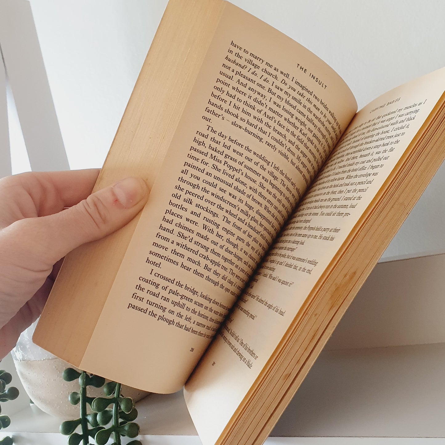 The Insult by Rupert Thomson - Adult Reads