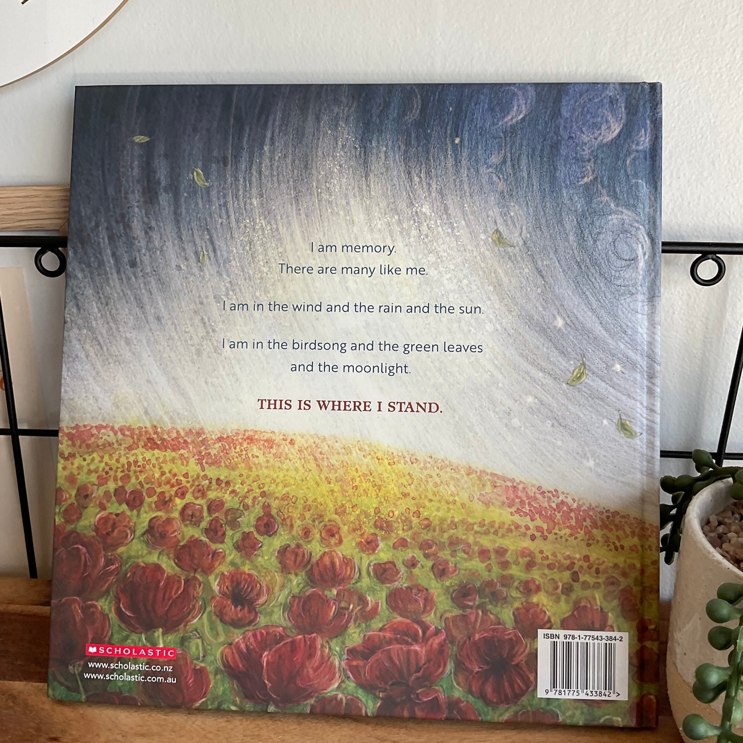 Philippa Werry, This is Where I Stand