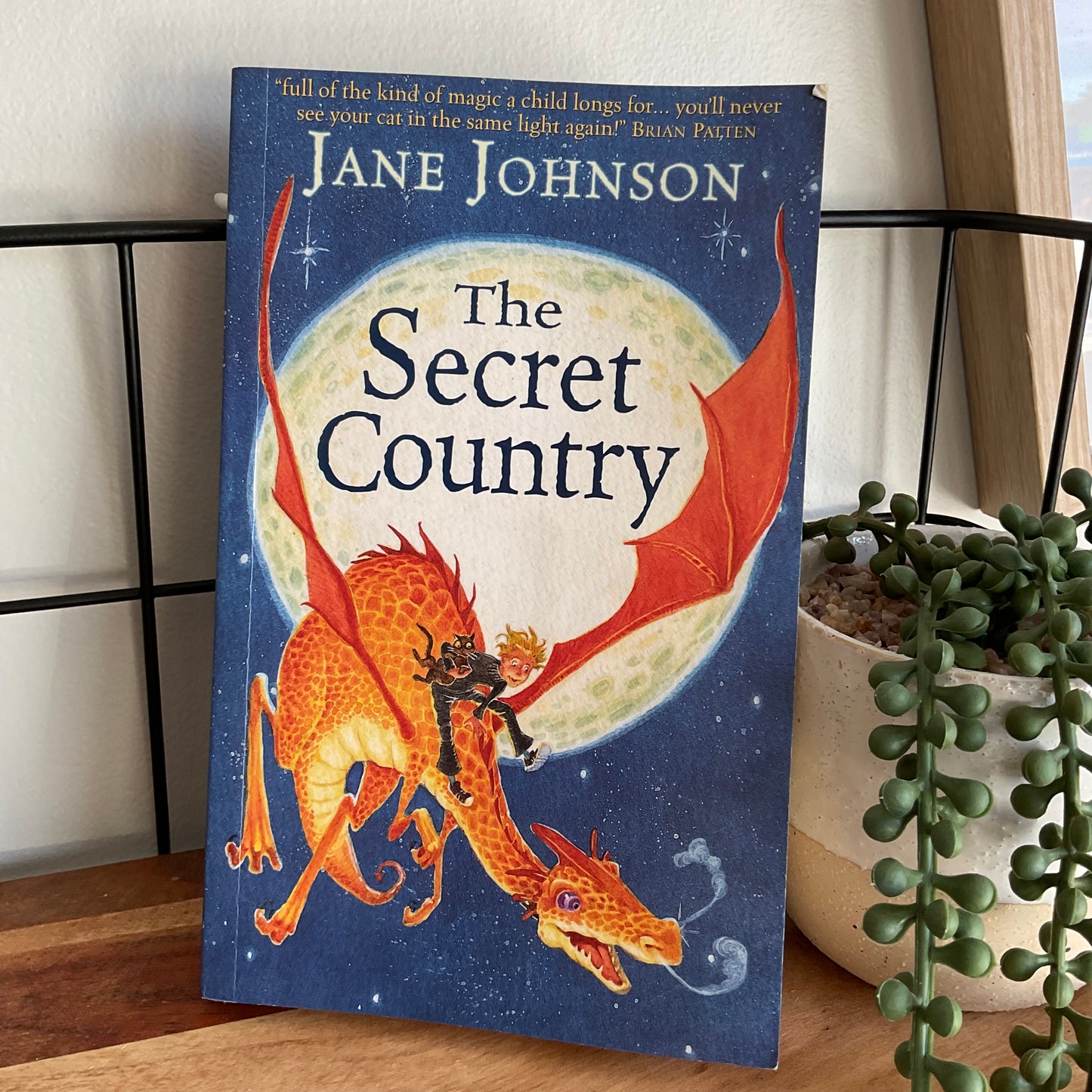 Jane Johnson, The Secret Country