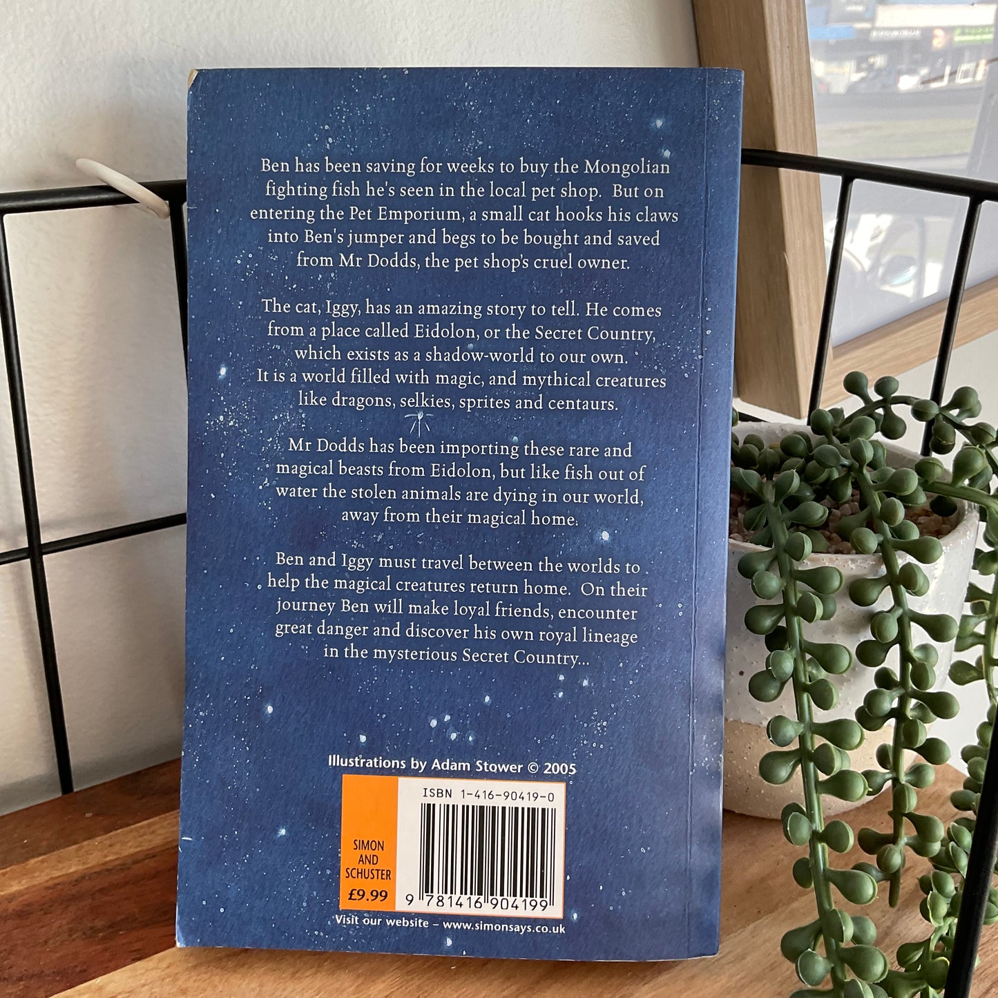 Jane Johnson, The Secret Country
