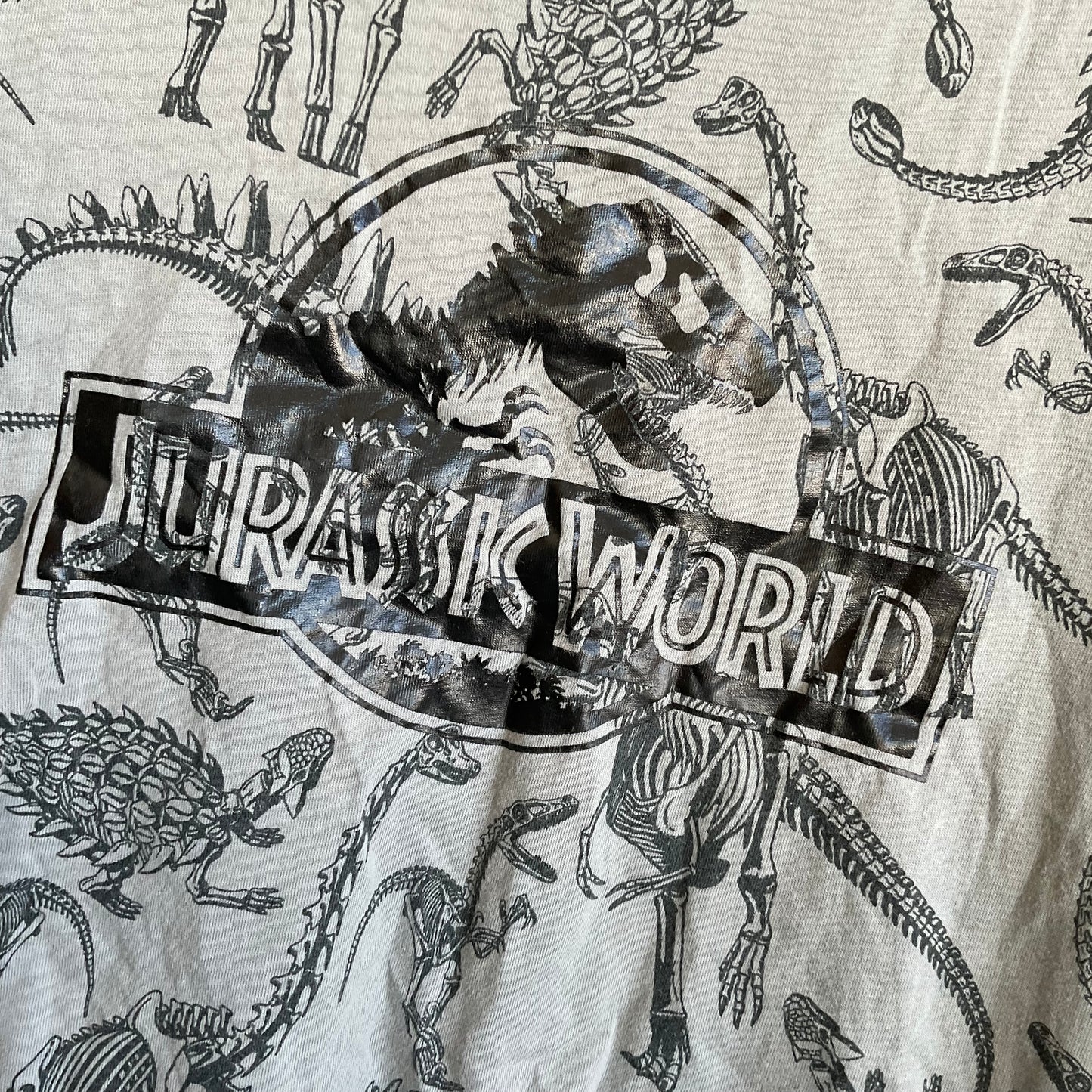 Jurasic World Tee (10y)