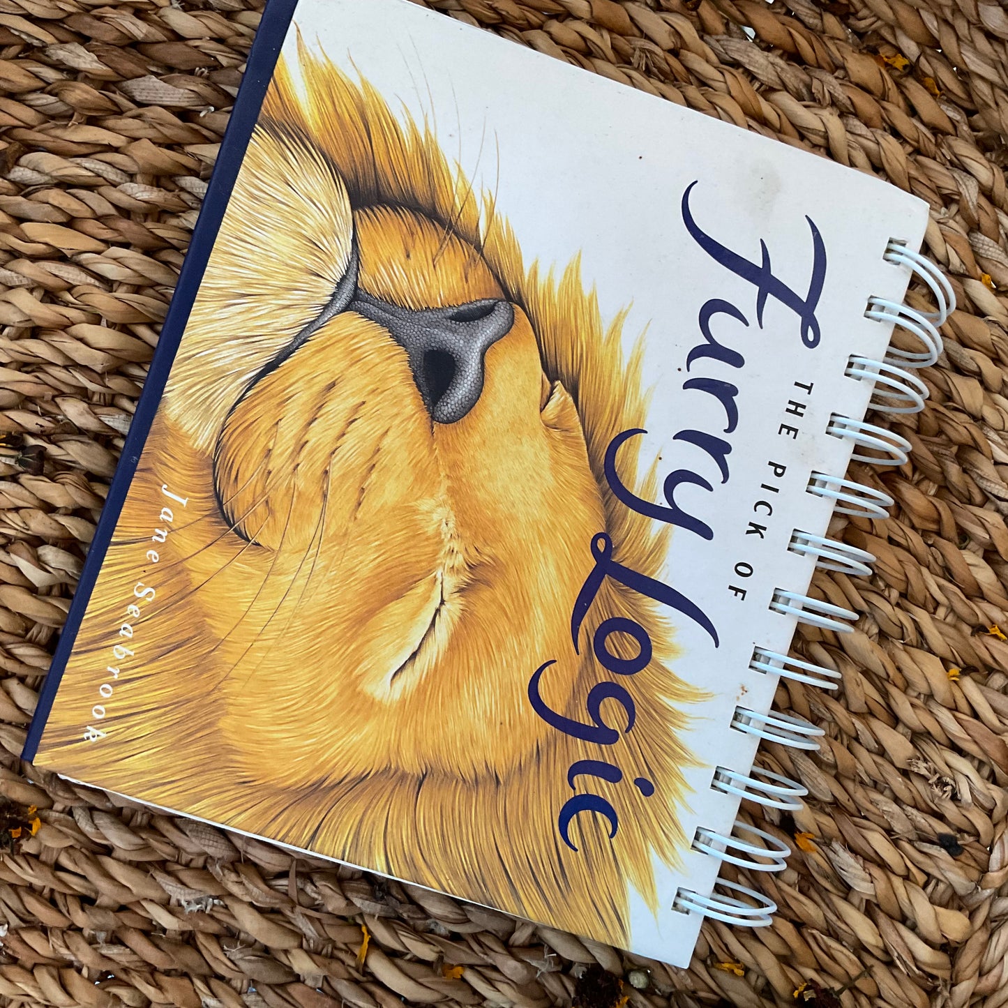 Fury Logic Flip Book