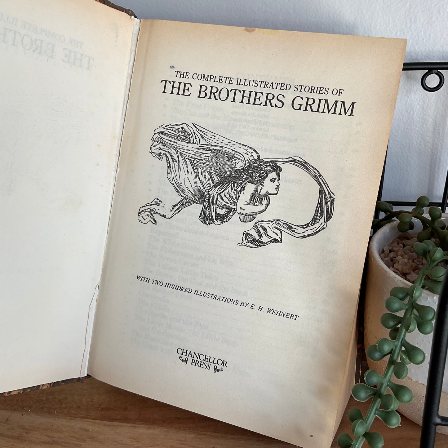 Brothers Grimm Book