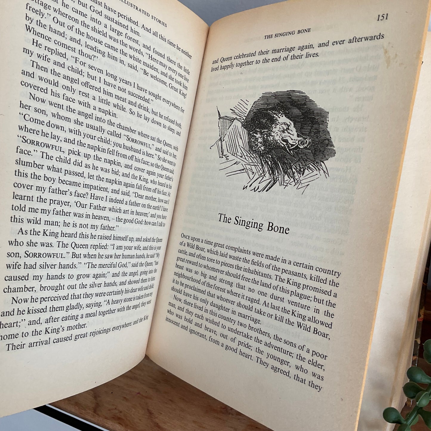 Brothers Grimm Book