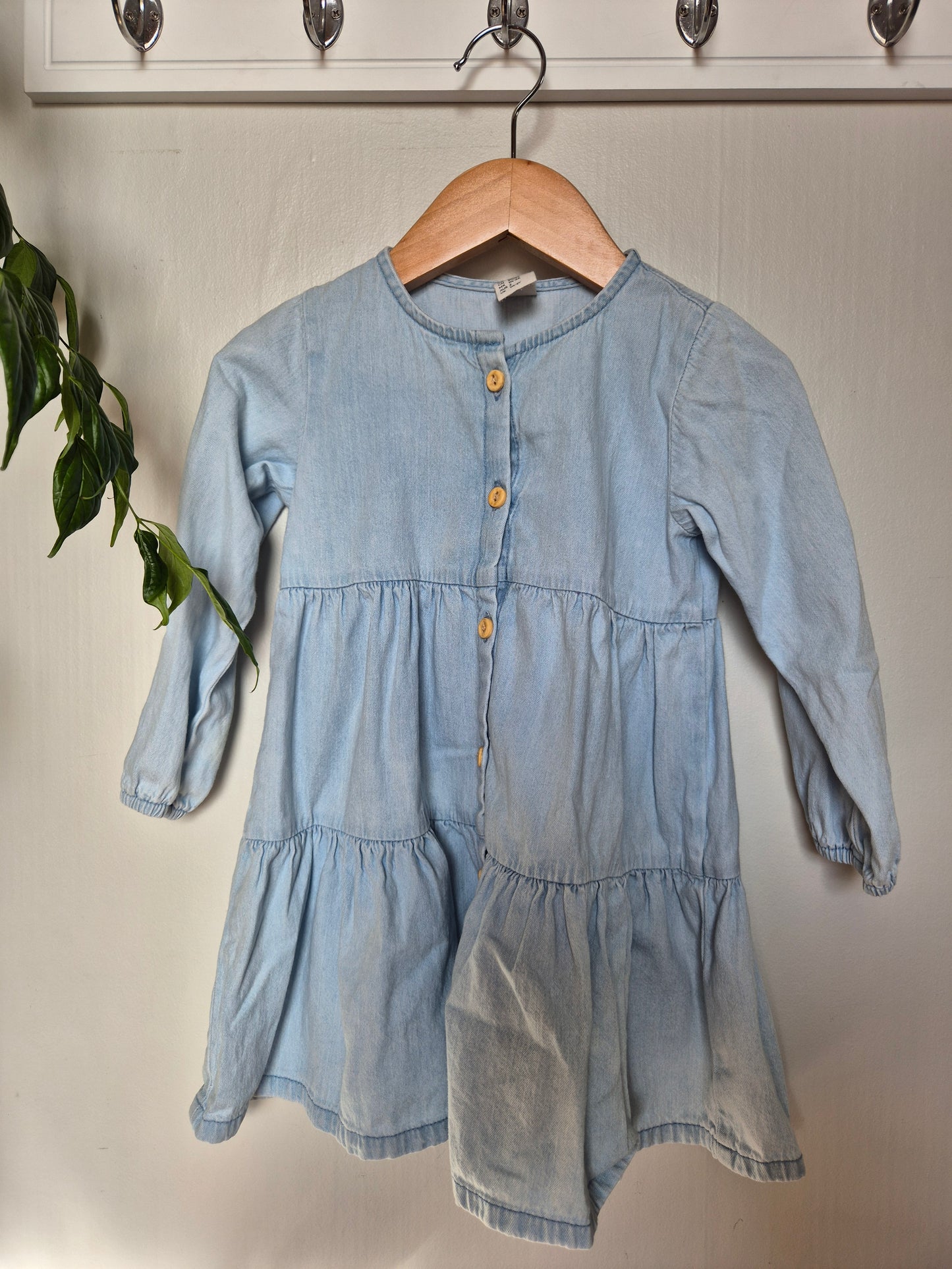 H&M Dress (2y)