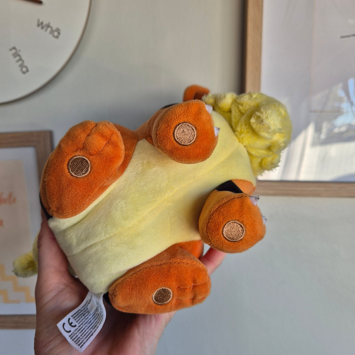 Pokemon Plush