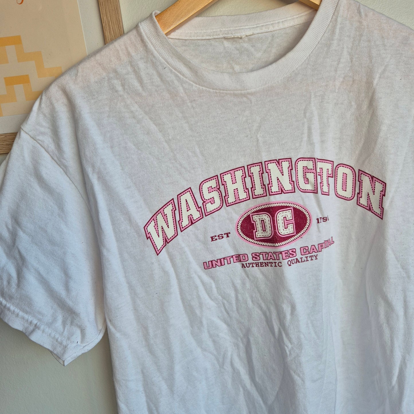 Vintage Washington Tee (Women's s/m)