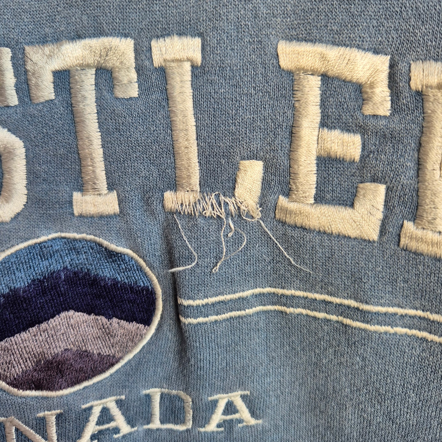 US Vintage Whistler Crop Crew (Adults M)