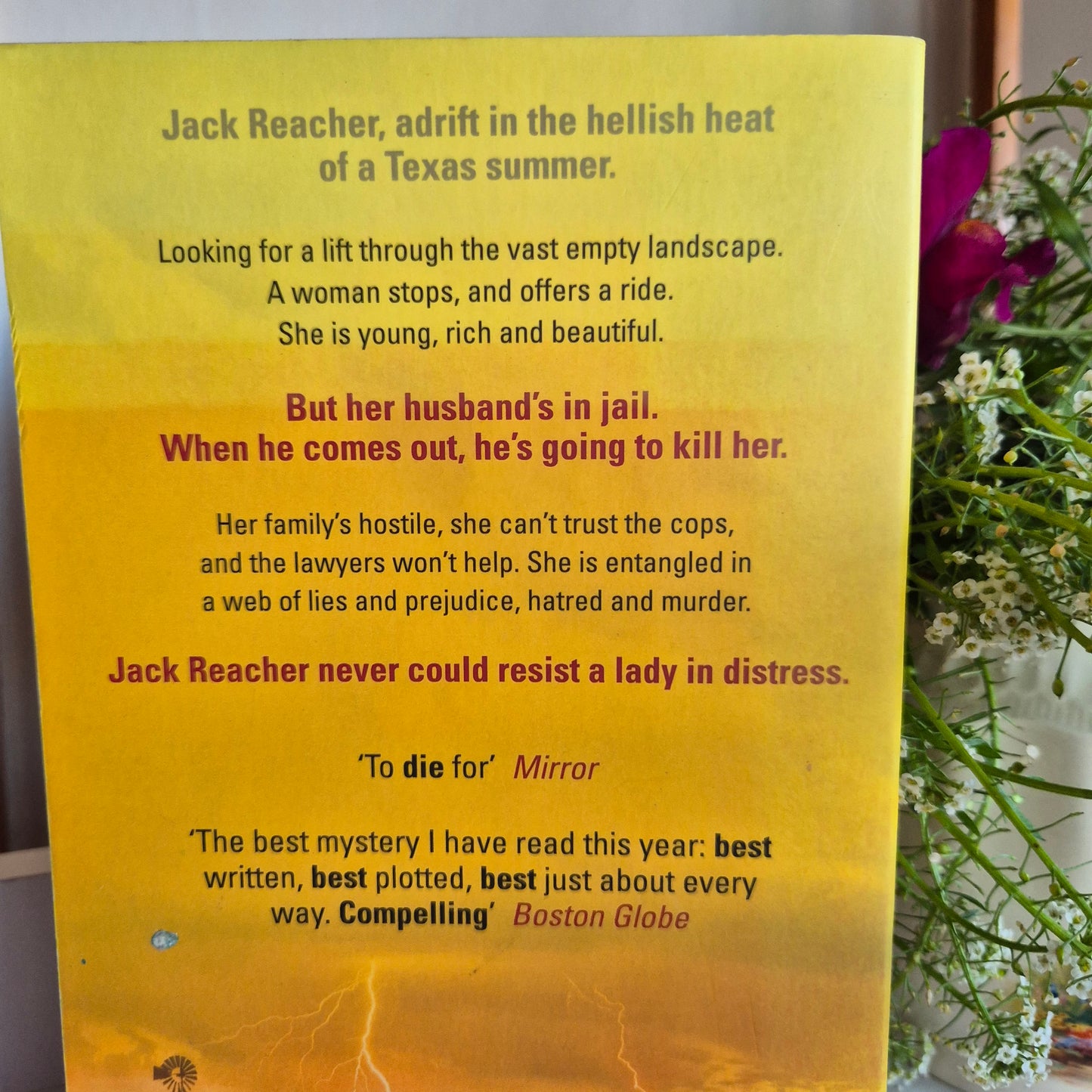 Lee Child: Echo Burning