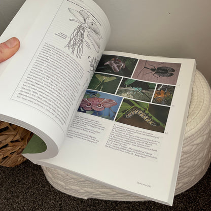 Insects Book