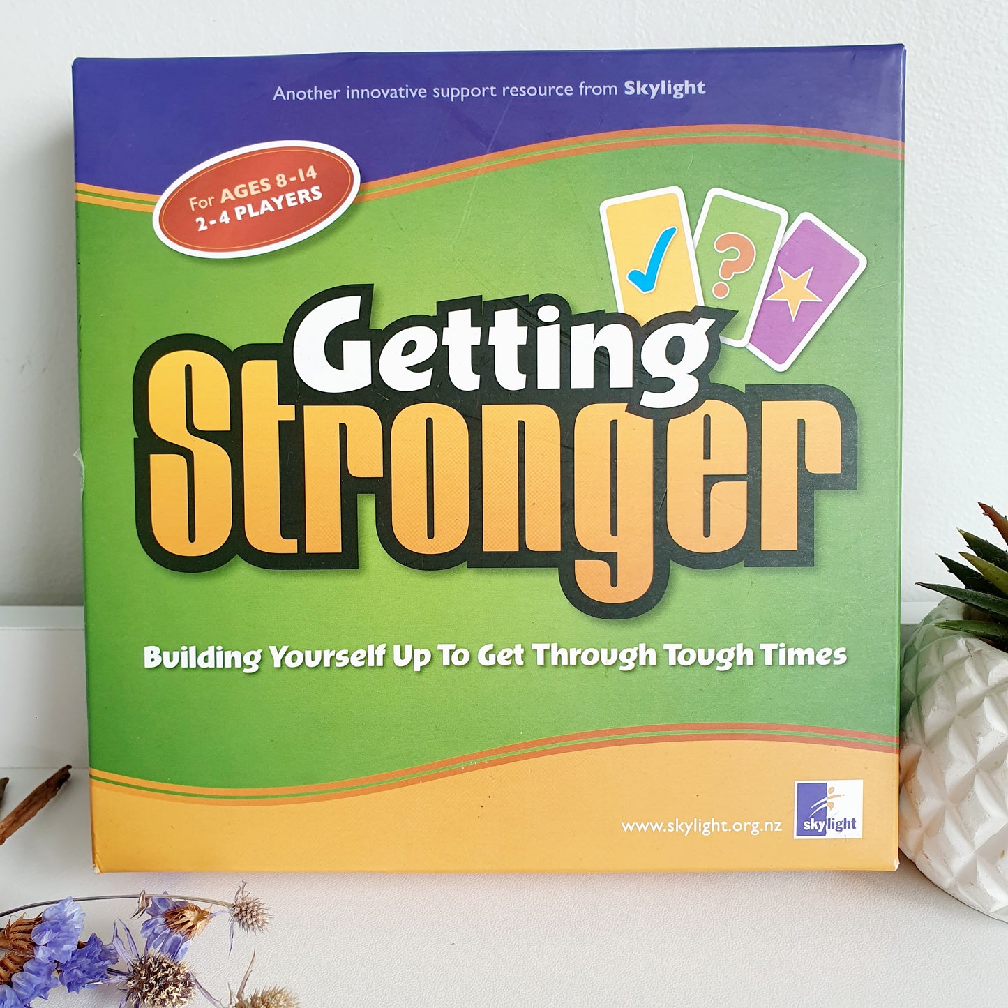 Skylight Getting Stronger Strengths Game *SALE