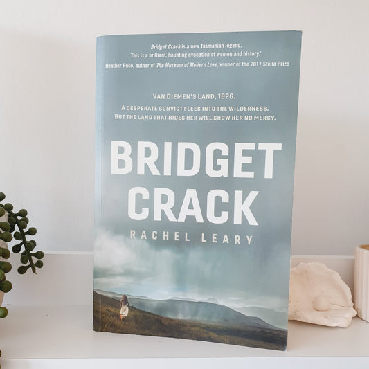 Bridget Crack by Rachel Leary - Adult Reads