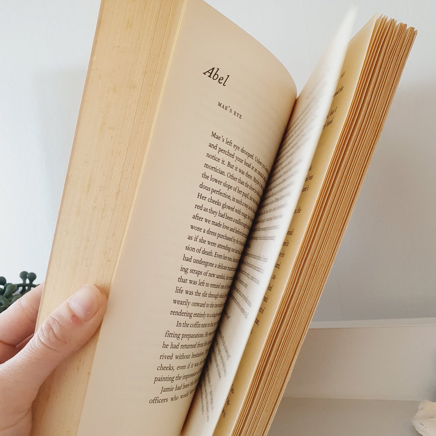 The Story of Forgetting by Stefan Mervill Block - Adult Reads