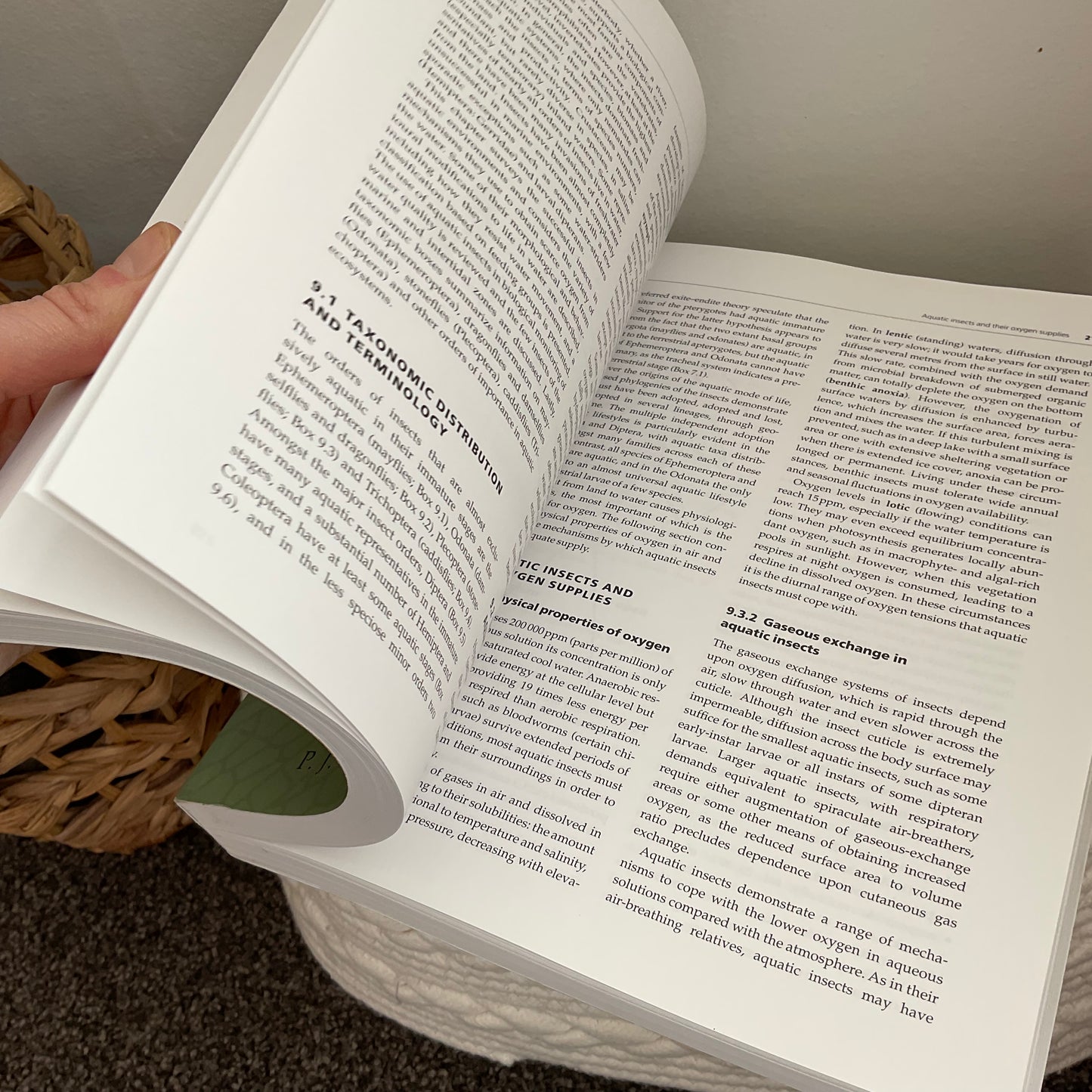 Insects Book