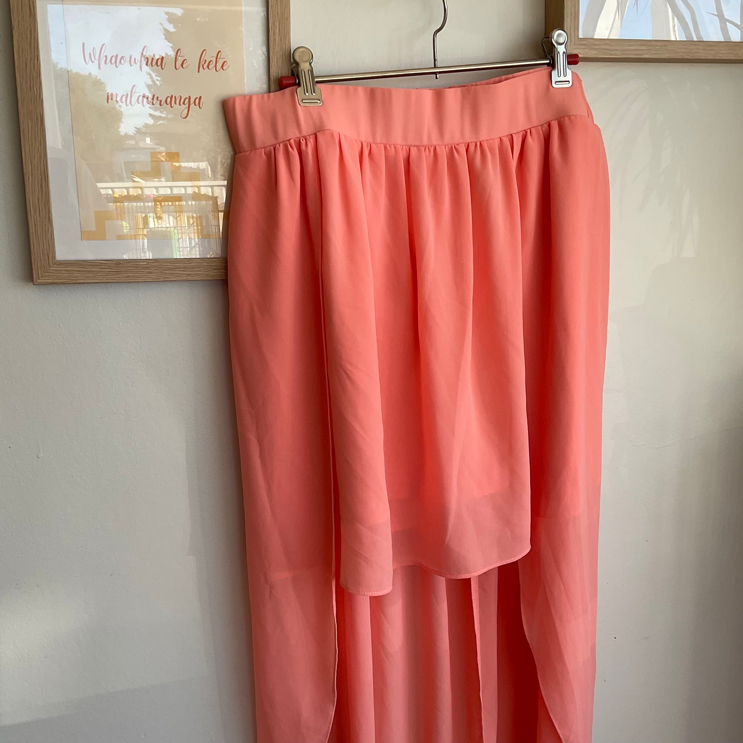 Augustine - Betty Basics Peach Skirt (L)