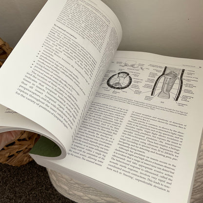 Insects Book