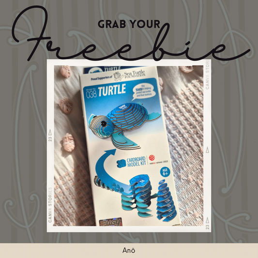 Win - DIY Turtle