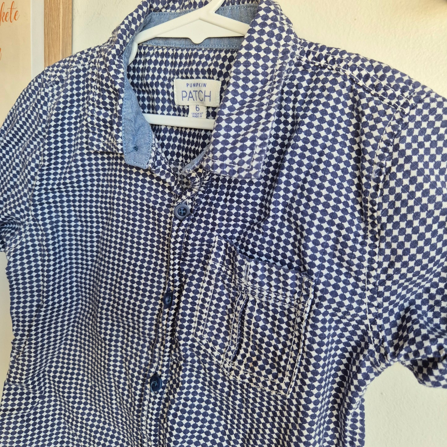 Pumpkin Patch Top (6y)