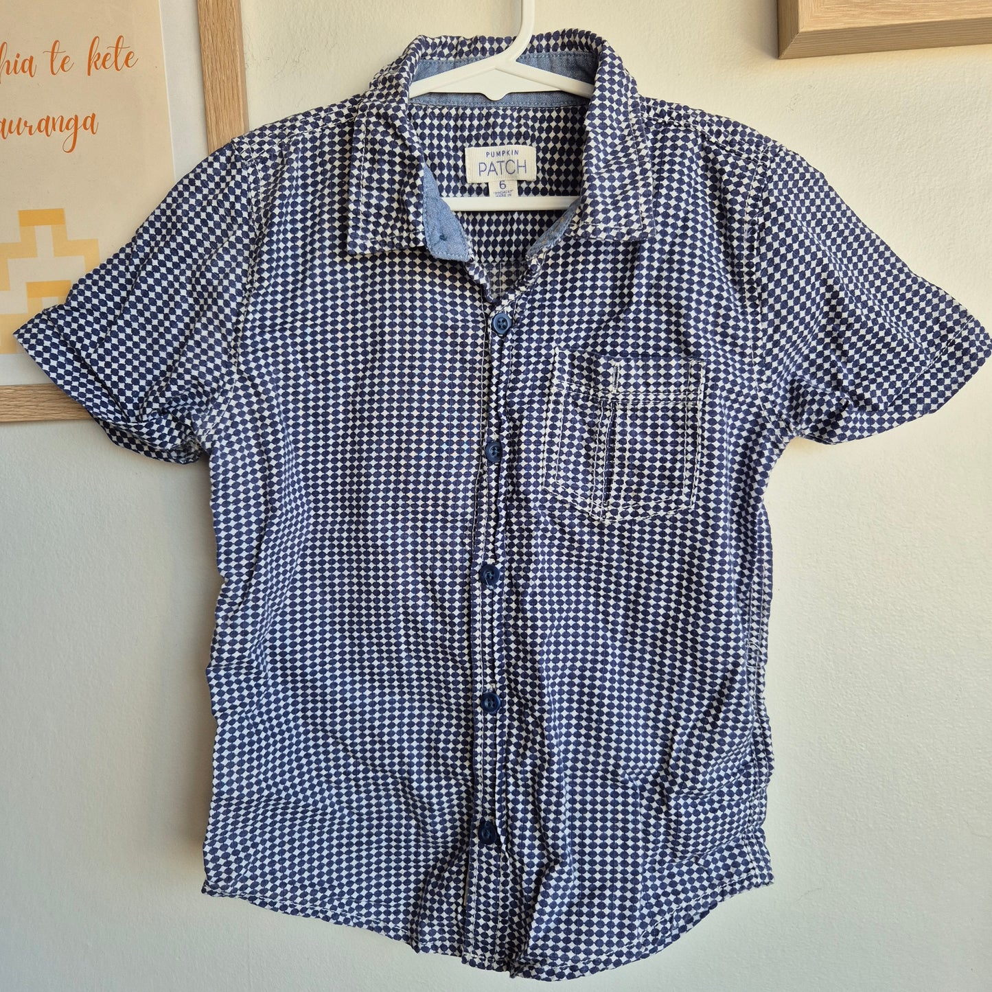 Pumpkin Patch Top (6y)