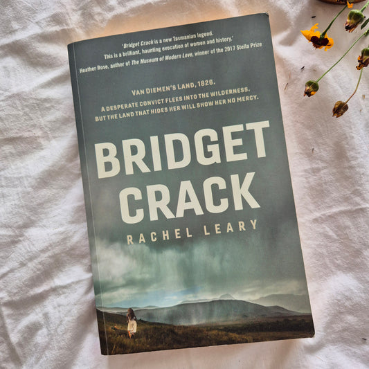 Bridget Crack by Rachel Leary