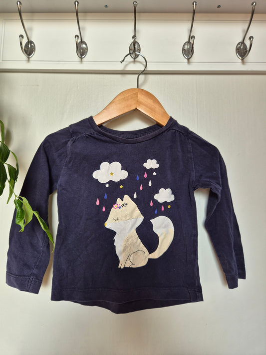 Young Original Fox Top (1y)