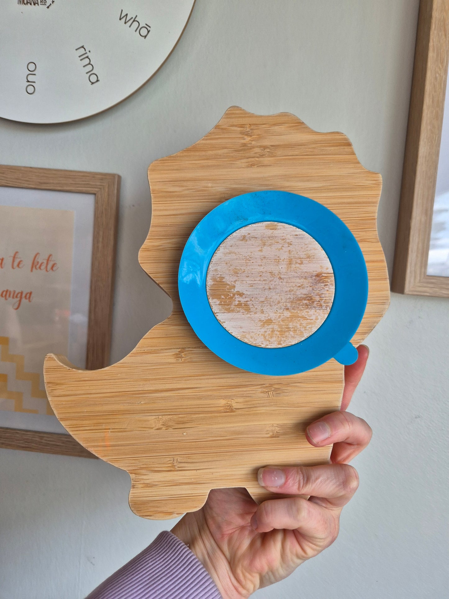 Cooper & Co Collection Dino Suction Plate