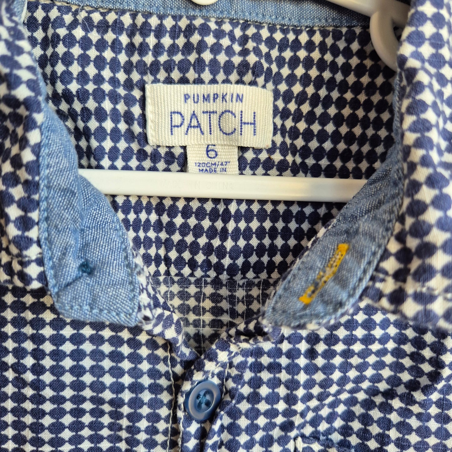 Pumpkin Patch Top (6y)