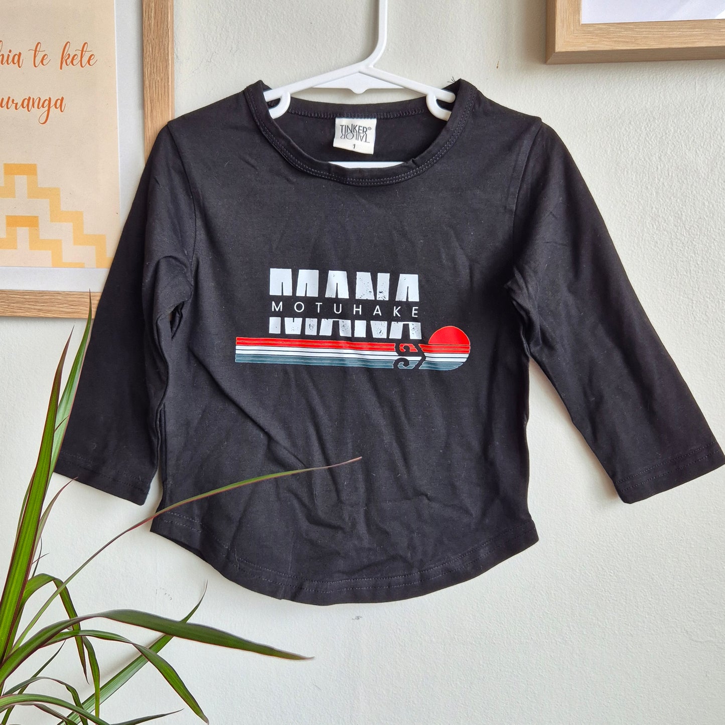 Mana Motuhake: Top (1y)